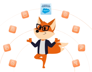 Salesforce hero mobile